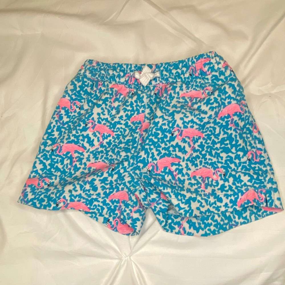 Chubbies Kids Flamingo Print Swim Trunks Blue Pink 2T Boys Swimwear Shorts